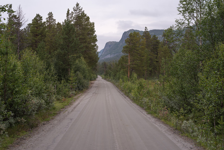 Dirt road